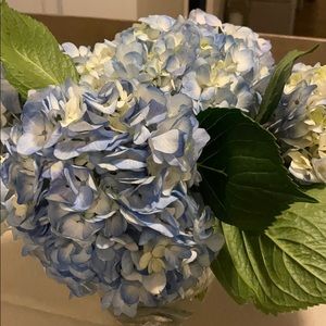 Meet your Posher, Adele